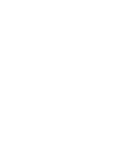 logo carem